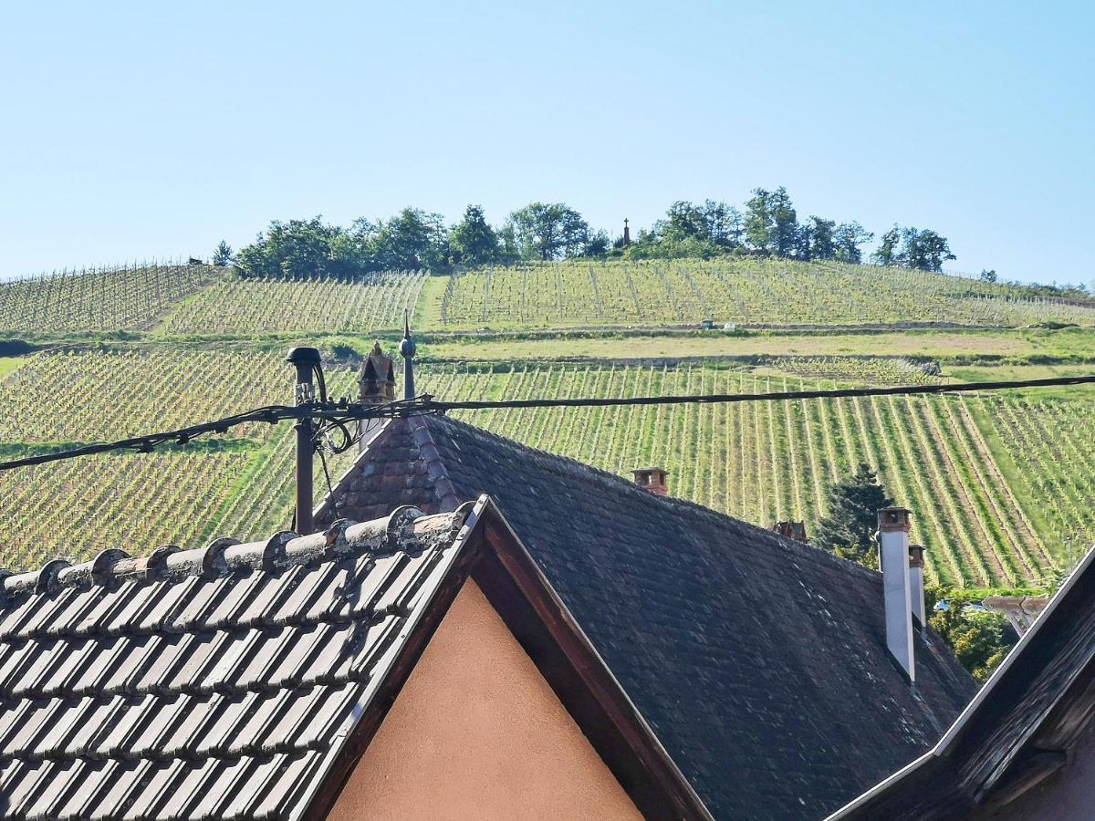 ✪ Le Convivial ✪ Duplex Alsacien ✪ Parking ✪ Rbnb✪ Turckheim Eksteriør billede